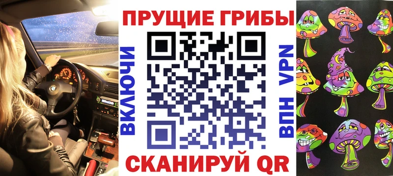 Псилоцибиновые грибы Psilocybe Сатка