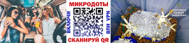 Псилоцибиновые грибы прущие грибы  Сатка 